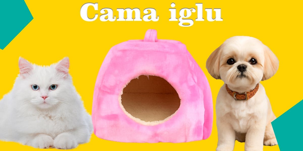 Descubre nuestras camas especiales