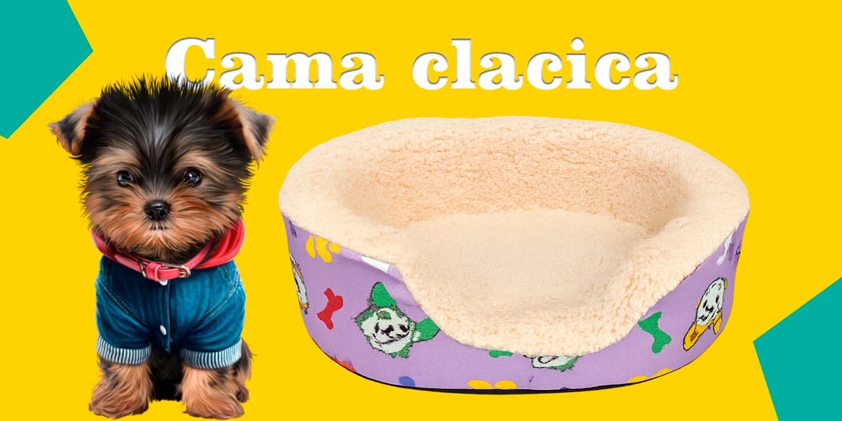 Cama para tu mascota