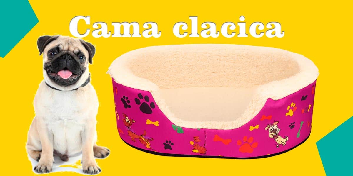 Cama clásica talla 2