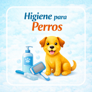 Higiene y cuidado para perros