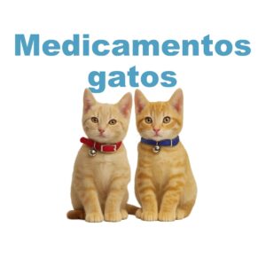 Medicamentos para gatos