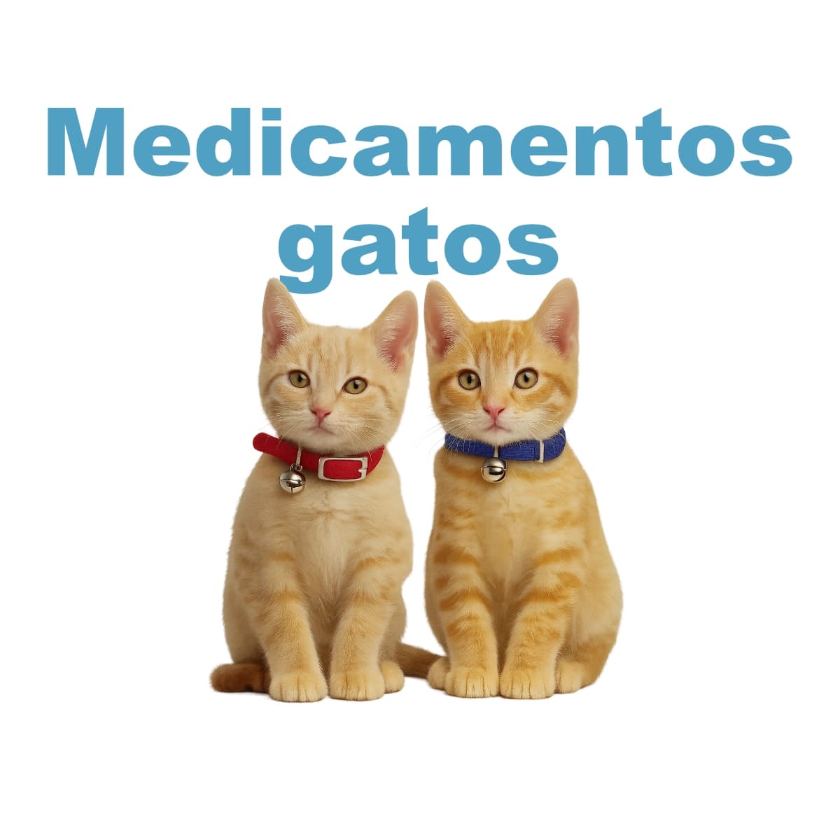 ALERFLAM – Antiinflamatorio y Antihistamínico para Perros y Gatos (Veterline)