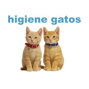 Higiene y cuidado para gatos