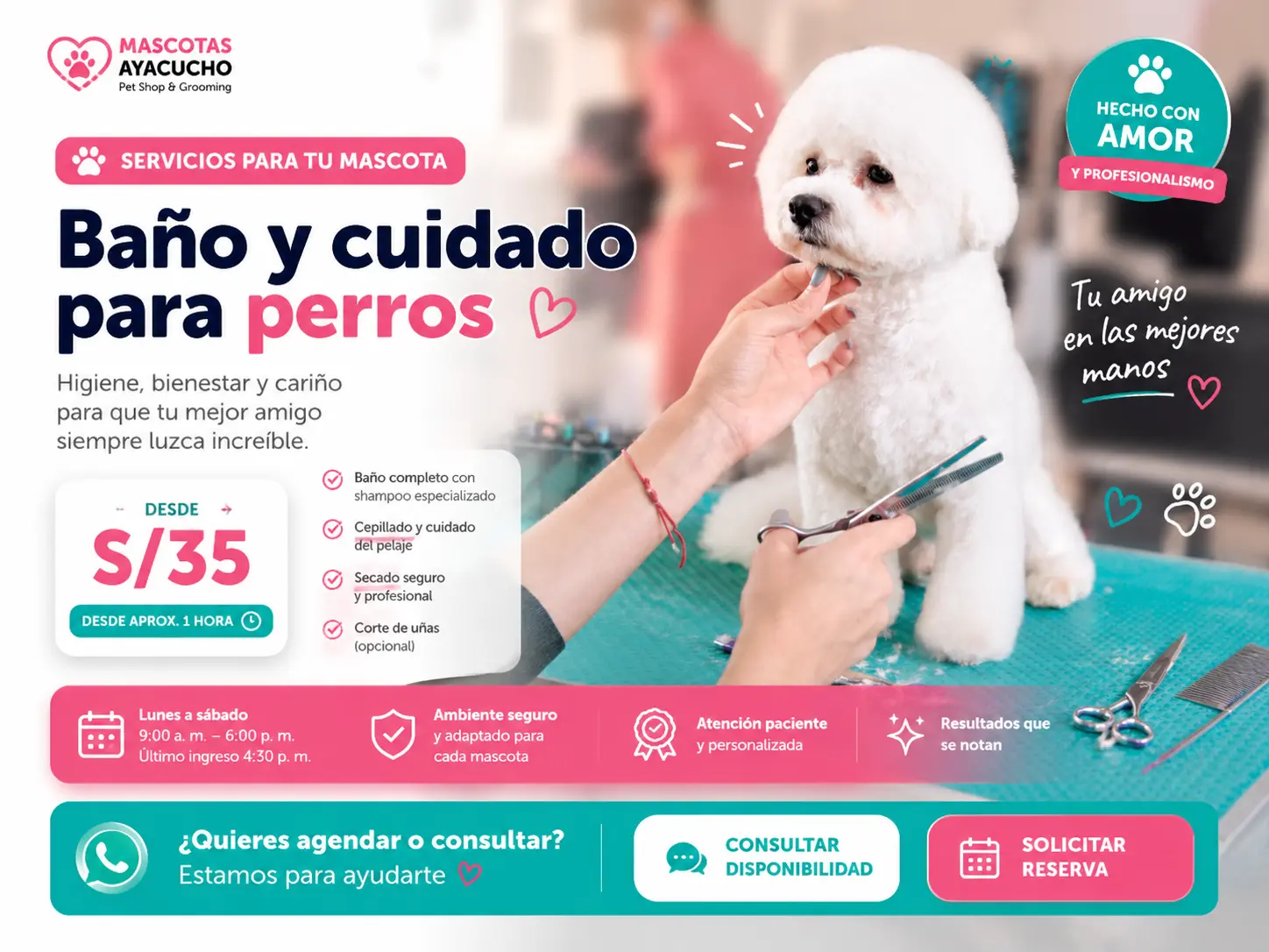 Baño y cuidado para perros en Mascotas Ayacucho